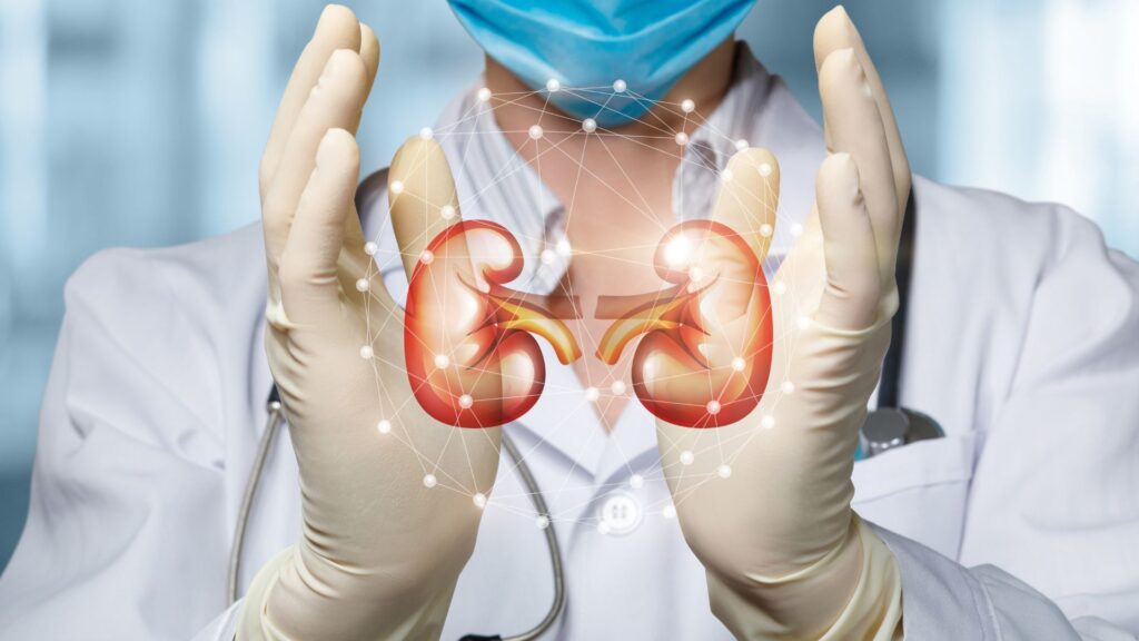 Your Kidneys are the Defenders of Your Health. Protect Them at All Costs